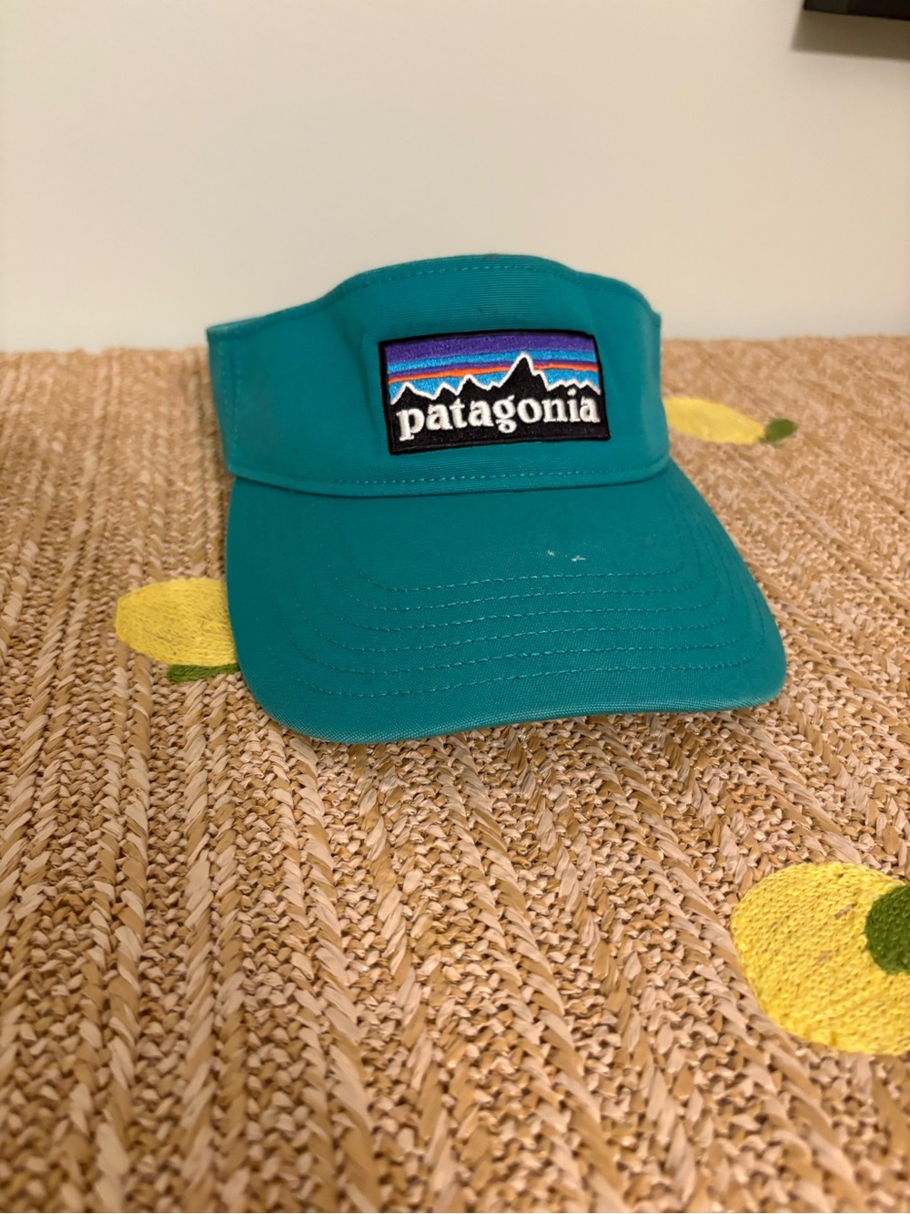 Vintage Patagonia Adjustable Visor Teal Blue Outdoor Hiking Trail Hat One Size